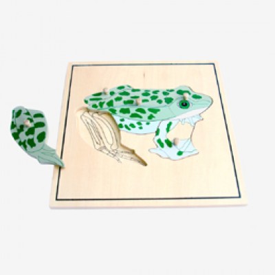 Puzzle - žába ( kostra )